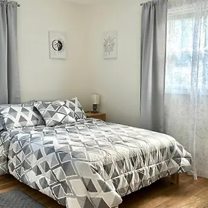 Homestay Cozy Near Busch Gardens, Tampa